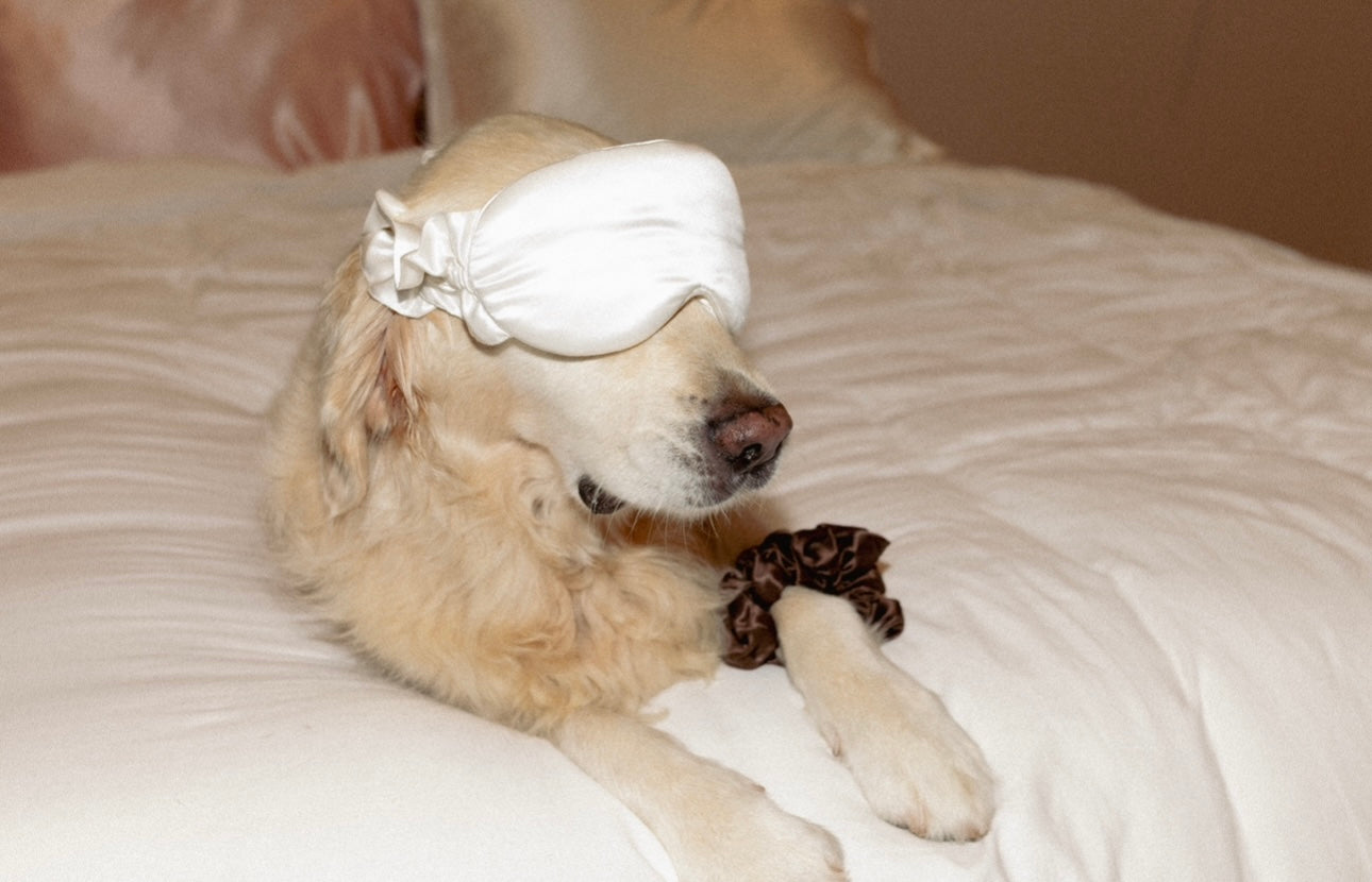 Ivory Silk Sleep Mask